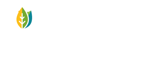 Logo eFutur conseils