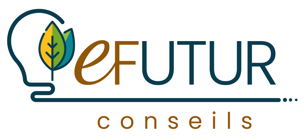 Logo eFutur conseils